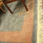 790 8214 CARPET